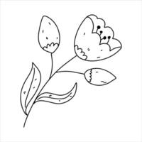 Blooming flower. Hand drawn doodle style. illustration isolated on white. Coloring page. vector