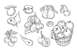 Ordinary fruits from mild climate. Set of black doodles drawings. monochrome sketchy illustrations of sweet fruits on white background. Ideal for coloring pages, tattoo, pattern vector