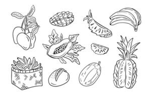 Monochrome outline doodles of tropical fruits in hand drawn style. contour sketchy drawings of sweet fruits on white background. Ideal for coloring pages, tattoo, pattern vector