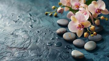 Spa treatment concept. Flowers of orchid and stones. Beautiful background with copy space. photo