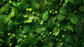 Fresh Green Peas and Leaves Texture. photo