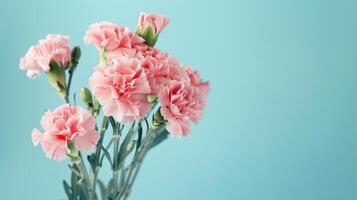 Bouquet of pink carnation flowers over blue background. Saint valentine, mothers day idea photo