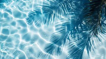 Top View Of Tropical Leaf Shadow On Water Surface. Shadow Of Palm Leaves On White Sand Beach. photo