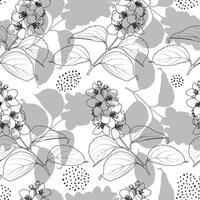 Spring Floral Outline Jasmine Seamless Pattern vector