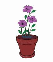 Green plant in a pot vector
