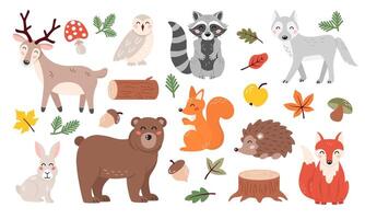 Cute forest animals character set in cartoon flat style. Autumn season elements. Kids design for print, poster, stickers, nursery. vector