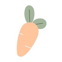 Hand draw Carrot in Kawaii style isolated on a white background. cute illustration in flat style. Vegetable in Japanese style. vector