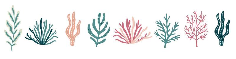 collection of colorful corals. Underwater plants on white background vector