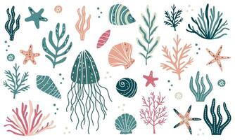 colección de mar plantas y conchas Medusa, algas, corales, conchas y estrella de mar. marina ilustraciones en escandinavo estilo vector