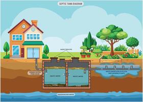 A septic tank diagram shows the tank chambers, inlet, outlet, baffles, and drain field vector