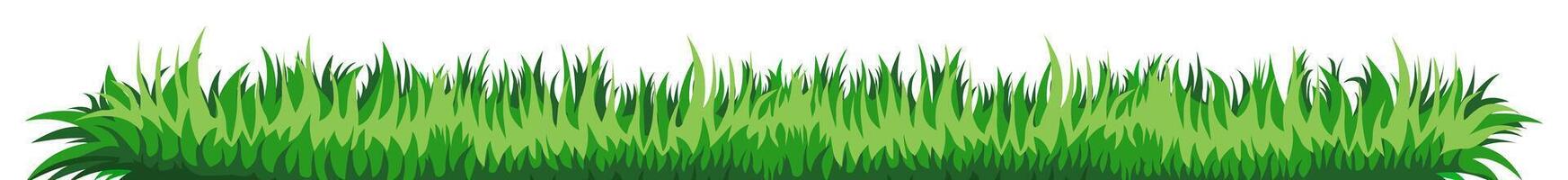 Line of green grass template. Natural glade with border side view vector