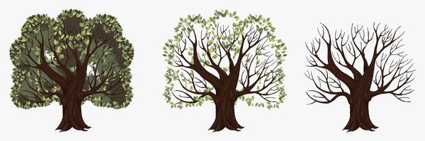 Tree with and without foliage. Symbol of change of seasons vector