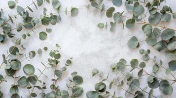 Eucalyptus branches on pastel gray background with copy space Top view. Mockup image. photo