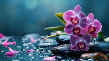 Spa treatment concept. Flowers of orchid and stones. Beautiful background with copy space photo