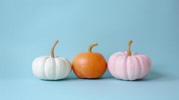 Small orange, white and pink pumpkins on pastel blue background. photo