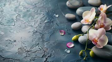 Spa treatment concept. Flowers of orchid and stones. Beautiful background with copy space. photo