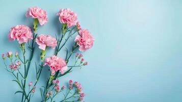 Bouquet of pink carnation flowers over blue background. Saint valentine, mothers day idea photo