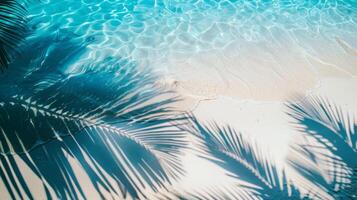 parte superior ver de tropical hoja sombra en agua superficie. sombra de palma hojas en blanco arena playa. foto