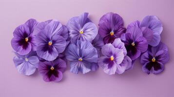 Purple pansies arrangement on monochromatic purple background, flat lay top view floral composition. photo