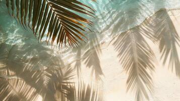 parte superior ver de tropical hoja sombra en agua superficie. sombra de palma hojas en blanco arena playa. foto