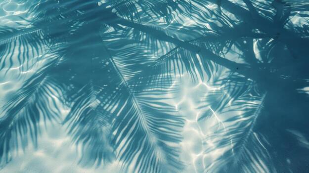 Top View Of Tropical Leaf Shadow On Water Surface. Shadow Of Palm Leaves On White Sand Beach. photo