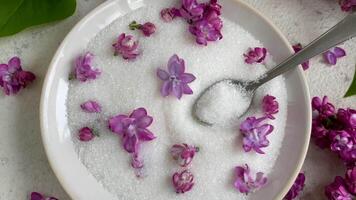 Schüssel von Zucker mit lila Blüten auf ein texturiert Hintergrund video