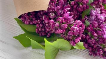 violet lilas fleur bouquet video