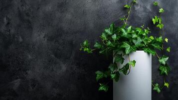 A green ivy climbing creeper wrapped around a full white cylinder photo