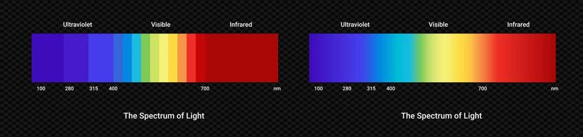 Spectrum light scale. Led diagram with visible and daylight vector