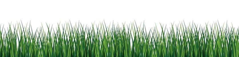 Grass green silhouette background vector