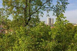 praga, checo república - abril 29, 2024. urbano horizonte visible mediante verde follaje de arboles en primer plano en havlíček jardín distrito Praga 2, vinohrady. foto