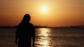 Dancing Woman Silhouette in Sunset Light video