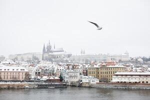 nieve en praga, raro frío invierno condiciones. Praga castillo en checo república, Nevado clima con edificios foto