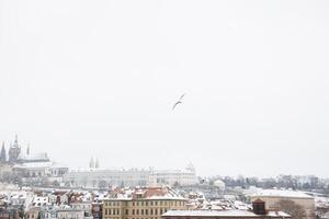 nieve en praga, raro frío invierno condiciones. Praga en checo república, Nevado clima con edificios foto