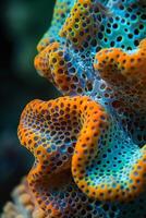 Detailed CloseUp of Vibrant Orange and Blue Sea Sponge Texture photo