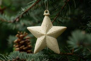 A white star ornament hangs from a tree branch photo