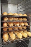 delicious French breads coming out of the oven photo