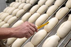 French bread making process photo