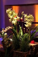 sophisticated party decoration with candles, flowers, tables and specialized lighting photo