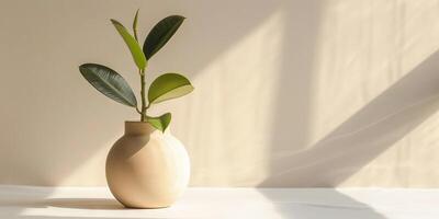 Minimalist Setup Featuring Matte Beige Vase with Green Plant photo