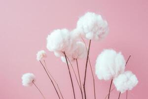 Minimalist Fluffy Cotton Clouds on Pink Background photo