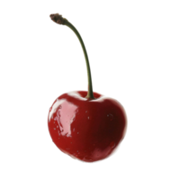 Single cherry berry png