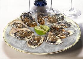 fresh oysters on ice with lemon photo