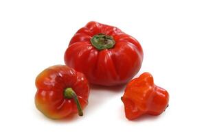 Capsicum pepper, a delicious Brazilian vegetable widely used in cooking photo