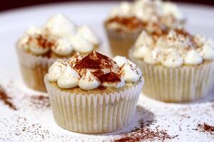 vanilla cupcakes with whipped cream frosting and chocolate powder photo