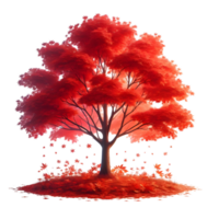 Red Maple Tree on transparent background png