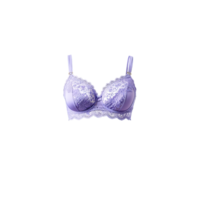 Whimsical Lavender Floral Lace Bra A whimsical lavender floral lace bra with a playful feminine png