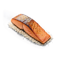 ein Stück von Lachs ist Sitzung auf ein Bett von Reis png