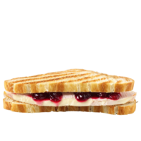 Turkey and brie panini sandwich sliced turkey brie cheese cranberry sauce sourdough bread pressed Culinary png