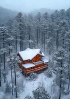 casa en el medio de el bosque foto